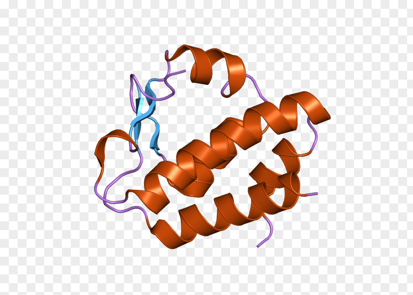 NGLY1 Peptide-N4-(N-acetyl-beta-glucosaminyl)asparagine Amidase ase F N-glycanase 1 PNG