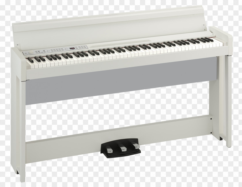 Piano Keys Digital Korg Musical Instruments PNG