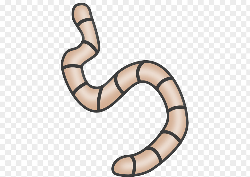 Earthworm Clip Art PNG