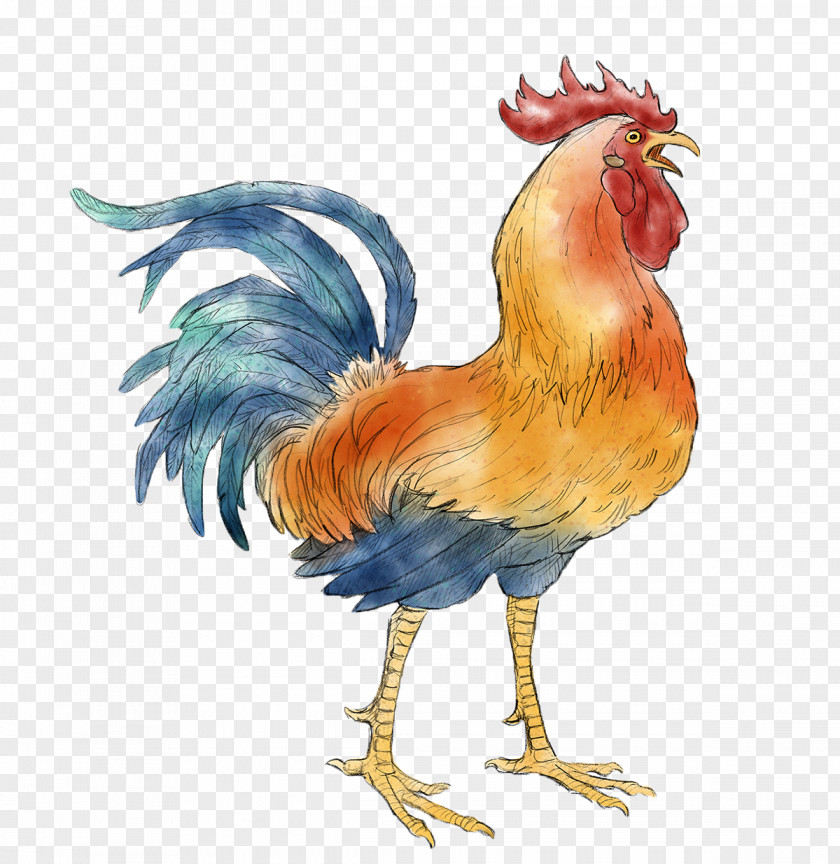 Rooster Chicken Wu Xing Fire Chinese New Year PNG