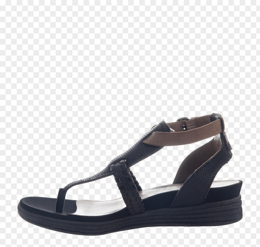 Sandal Shoe Flip-flops Suede Clothing PNG