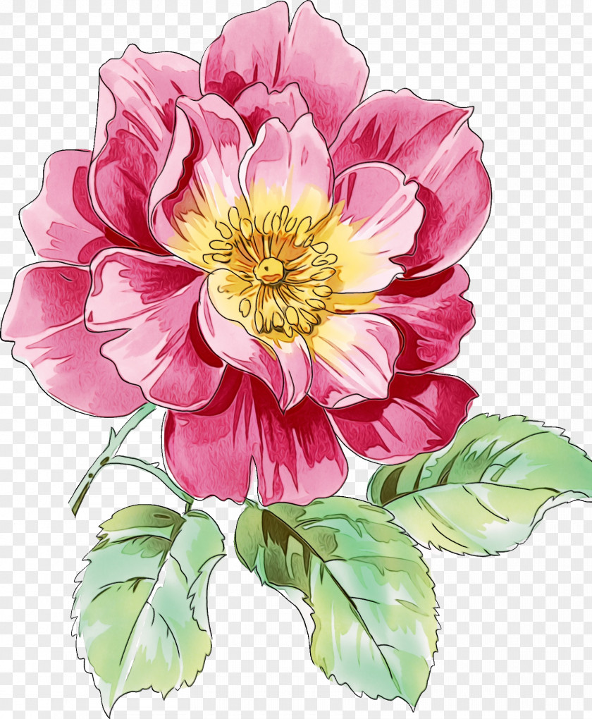 Wild Peony Rose Order Floral Design PNG