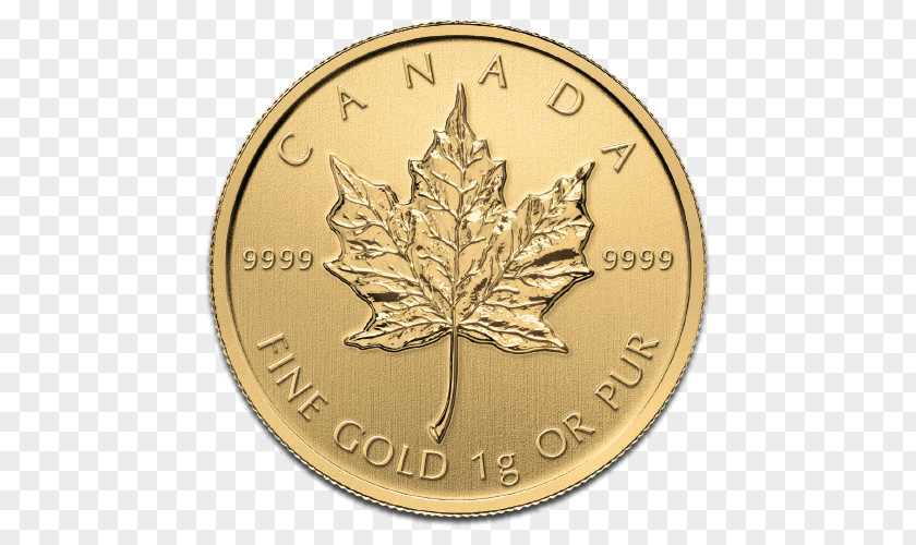 50 Fen Coins Canadian Gold Maple Leaf Coin Bar Royal Mint PNG