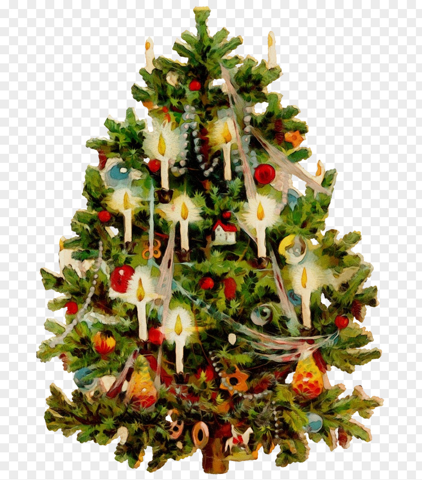 Christmas Tree PNG