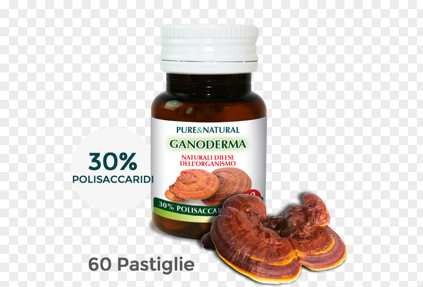 Ganoderma Lucidum Dietary Supplement Echinacea Angustifolia Purpurea Whey Protein Bodybuilding PNG