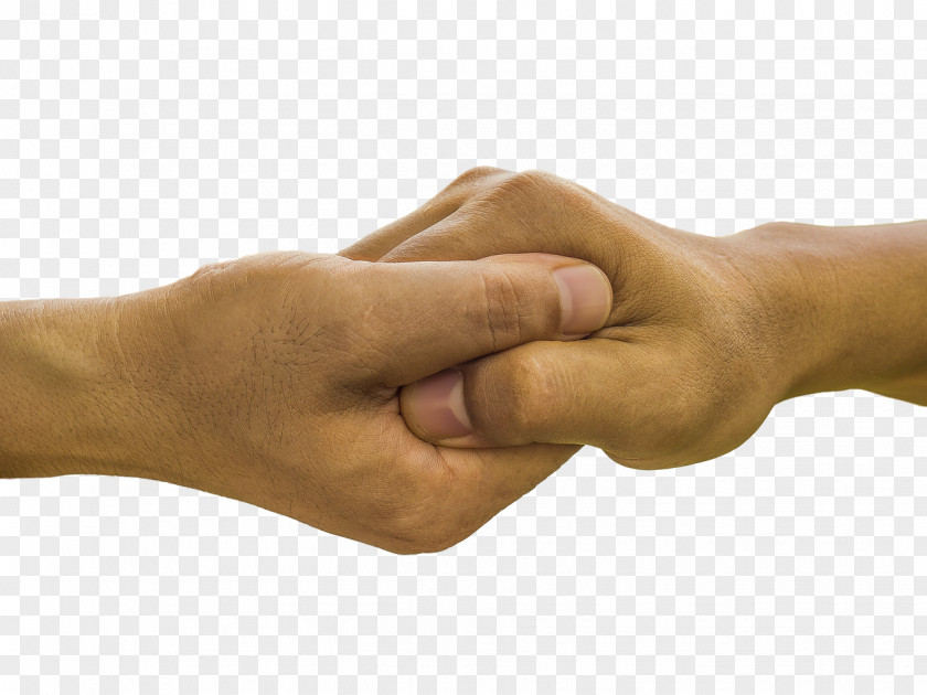 Hands Hand PNG