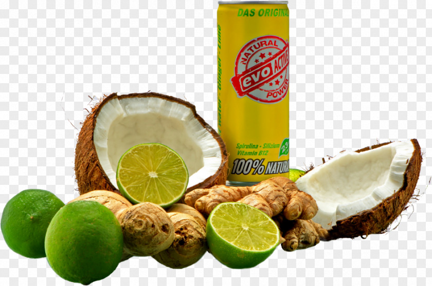 Lime Key Coconut Water Food Lemon PNG