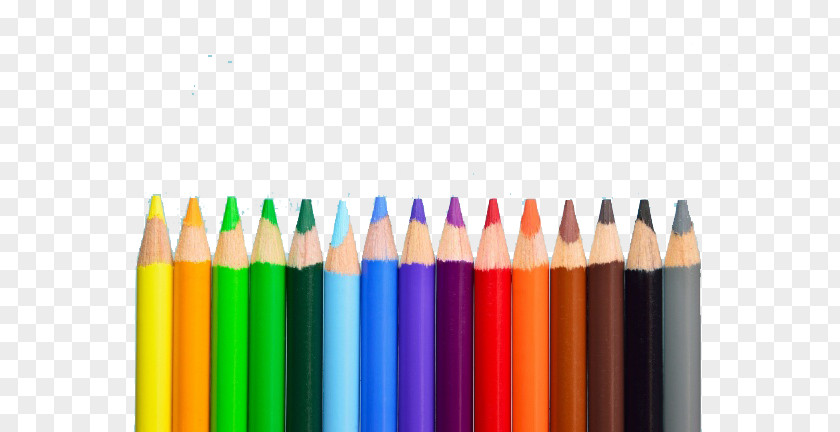 Pencils In A Row Coloring Book Colored Pencil Rainbow PNG