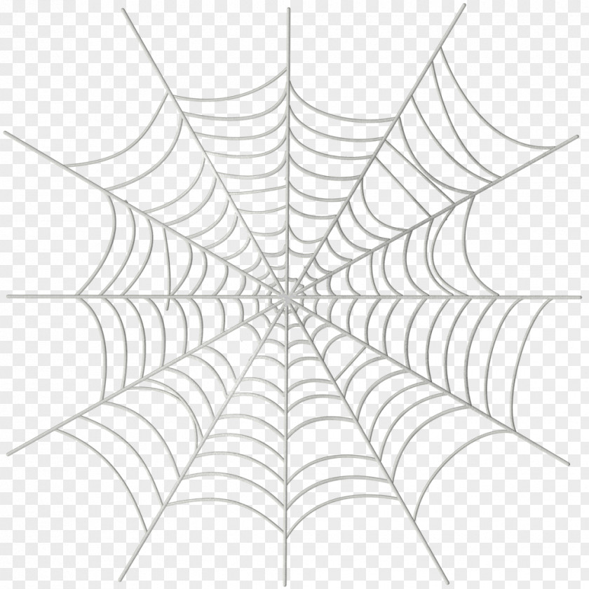 Spider Web Painted Material Picture Illustration PNG