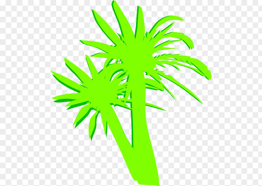 Two Palms Clip Art Palm Trees Image PNG