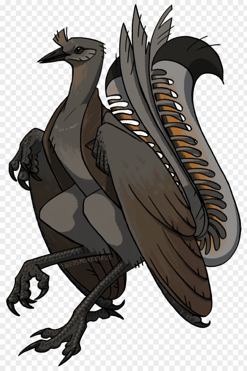 Eagle Cartoon Galliformes Fauna PNG