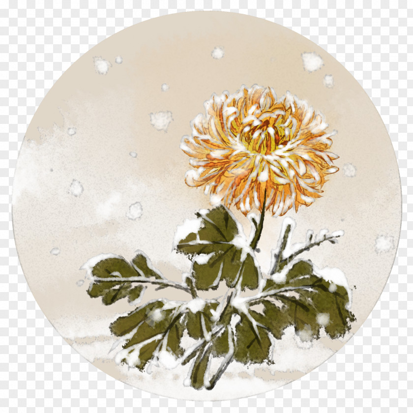 Petal Leaf Dishware Plate Flower Yellow Plant PNG
