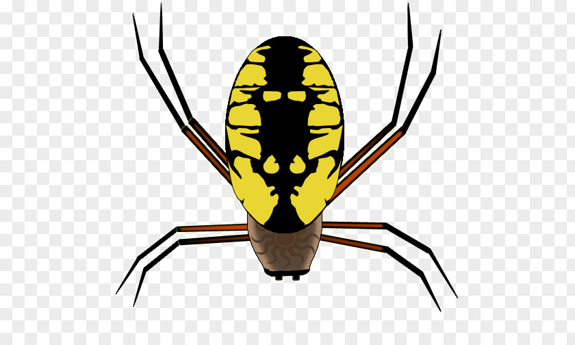 Arachnid Pest Yellow Background PNG