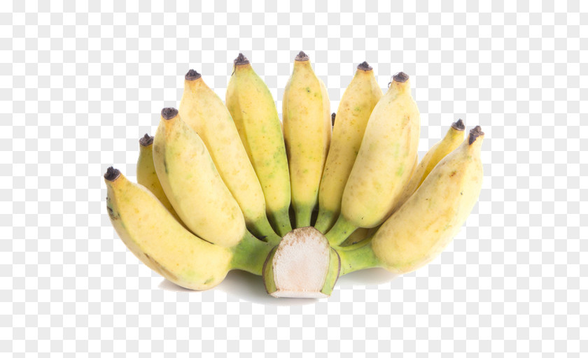 Banana Saba Cooking Lady Finger Pisang Awak PNG