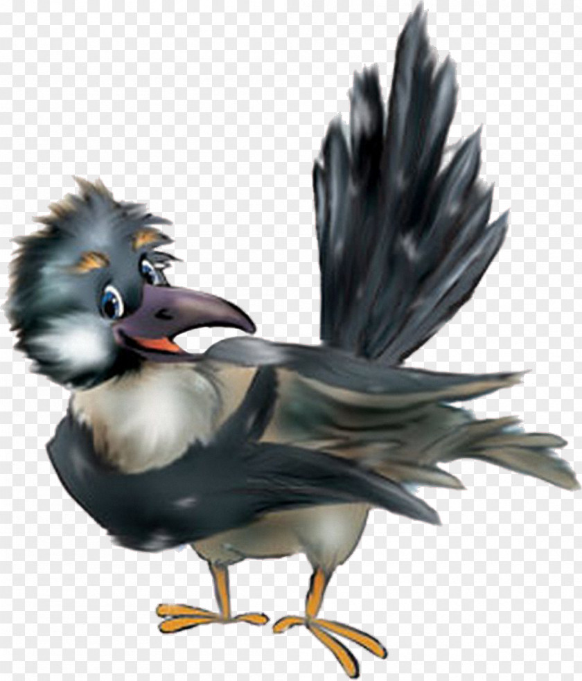 Birds Bird Of Prey Clip Art PNG