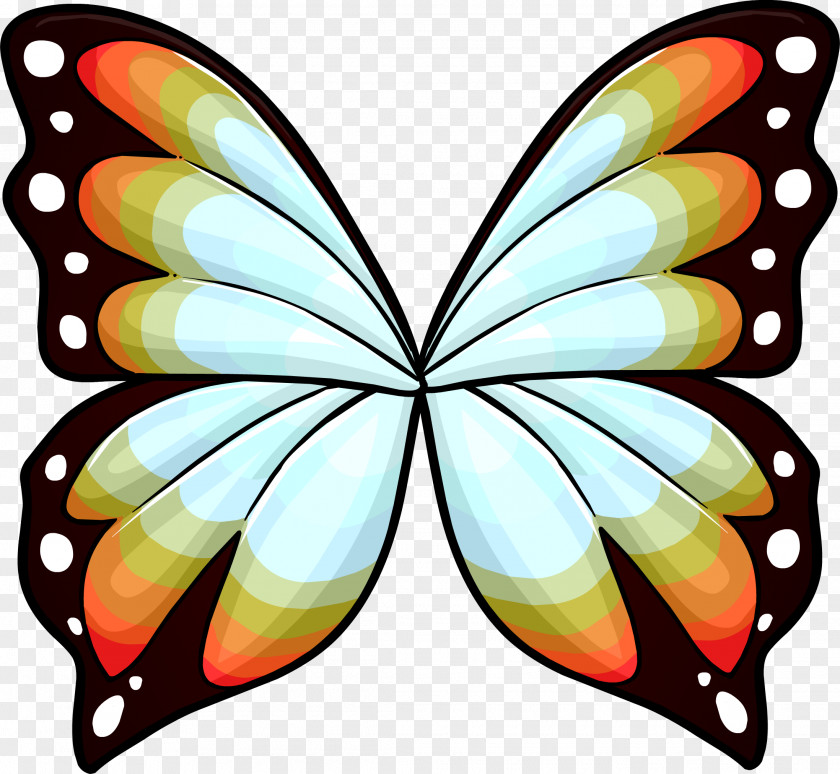 Wings Monarch Butterfly Penguin Drawing PNG
