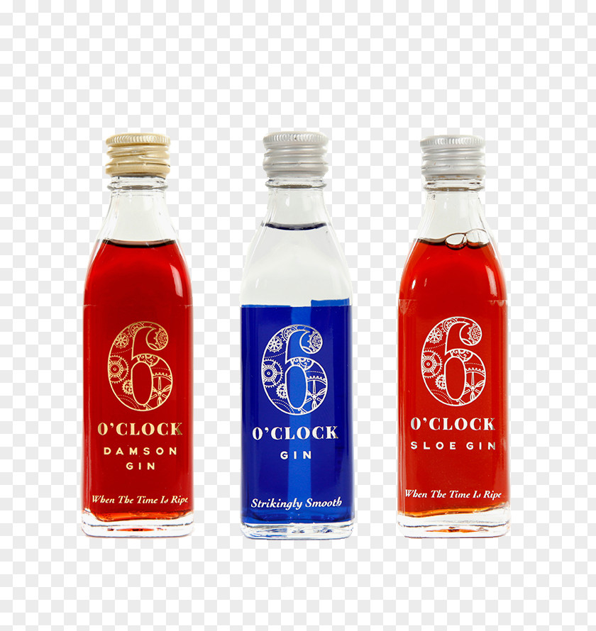 Bottle Liqueur Sloe Gin Damson Tonic Water PNG