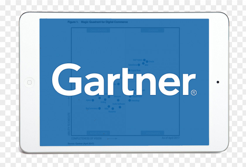 Business Gartner Magic Quadrant Hype Cycle Management PNG