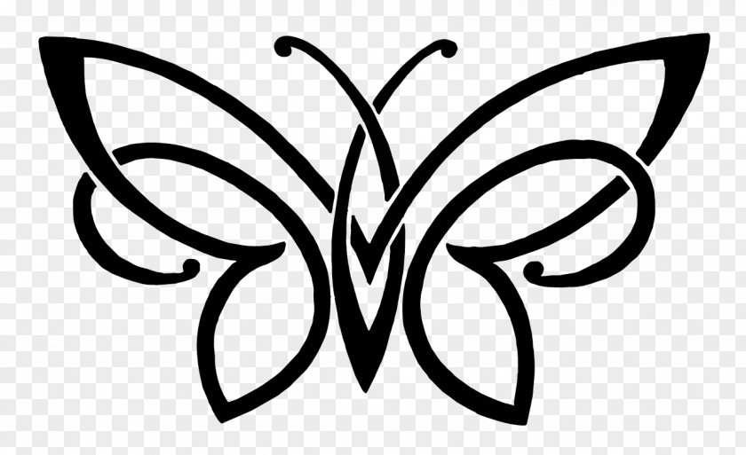 Butterfly Drawing Sketch Image Pencil PNG