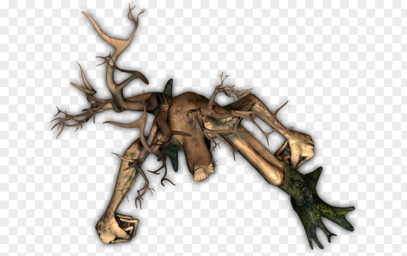 Deer Antler Tree PNG