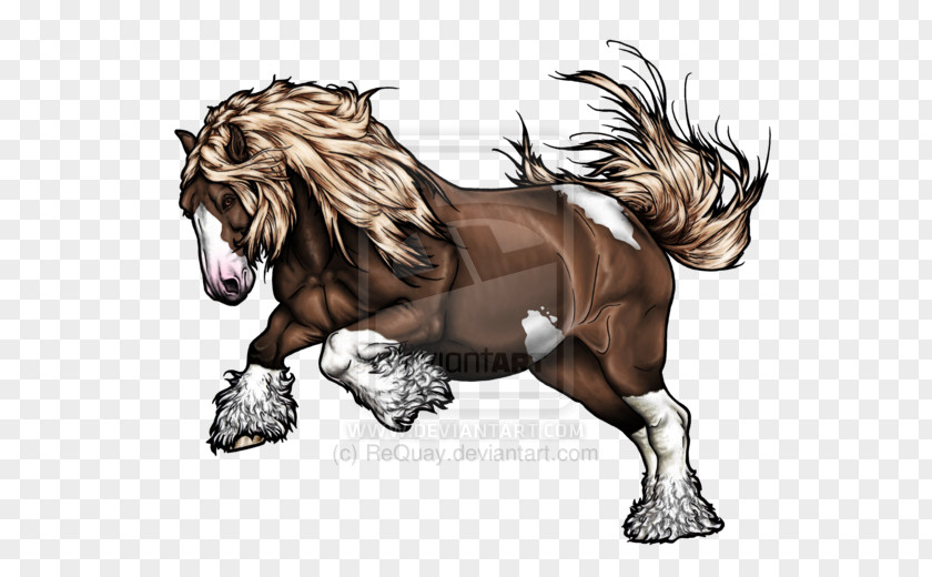 Mustang Gypsy Horse Stallion Pony PNG