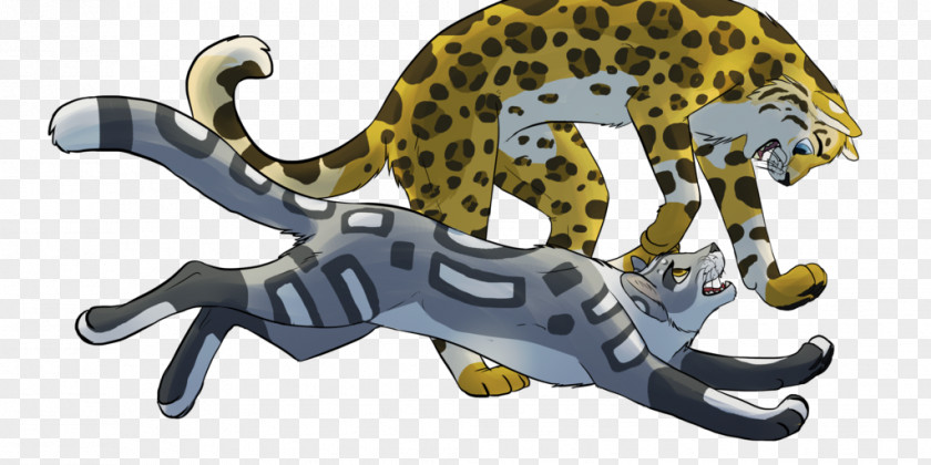 Never Trip 2 Times By A Stone Leopard Big Cat Terrestrial Animal PNG