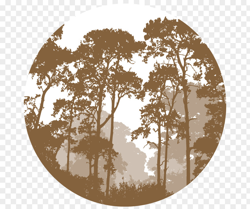 Vector Graphics Illustration Forest Landscape Silhouette PNG