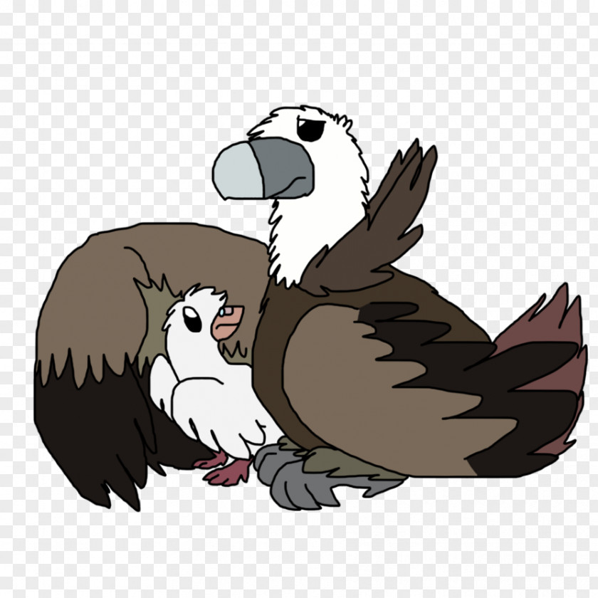Bird Feather Owl Beak Clip Art PNG
