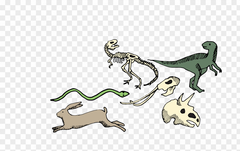 Dinosaur Reptile PNG