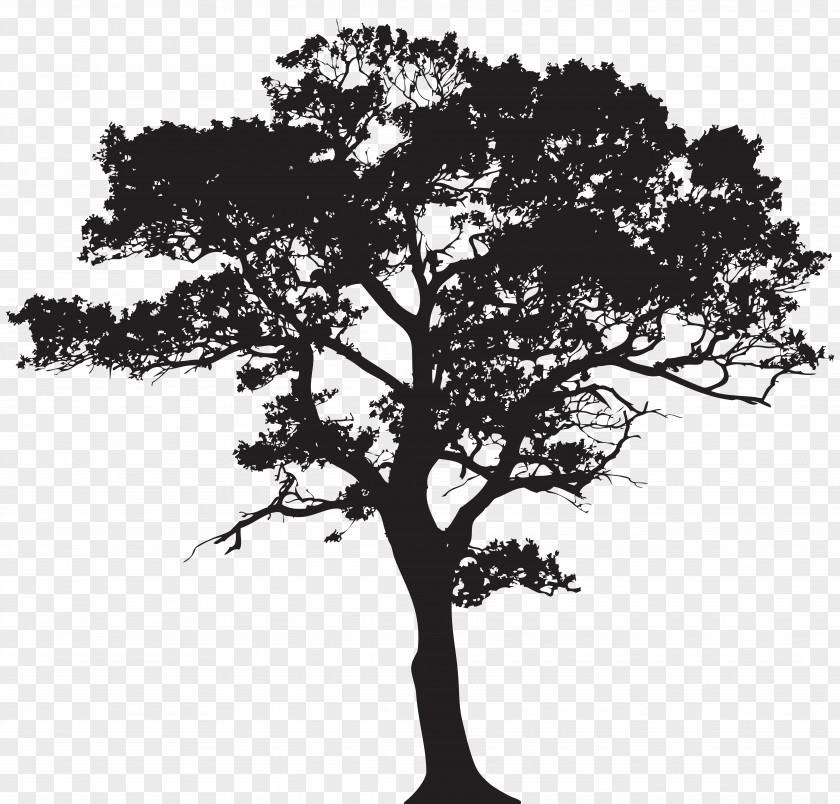 Mural Silhouette Tree Clip Art PNG