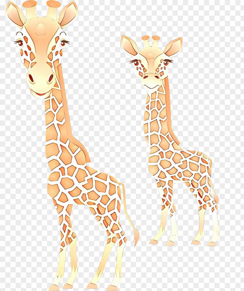 Neck Adaptation Giraffidae Giraffe Terrestrial Animal Wildlife Figure PNG
