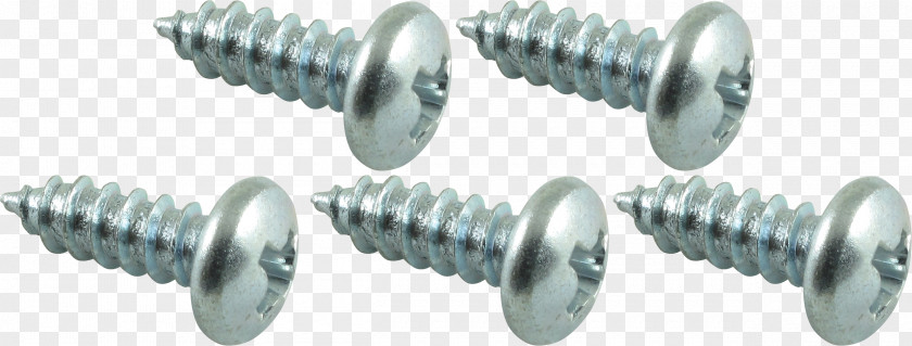 Screw Self-tapping Tap And Die Fastener Pozidriv PNG