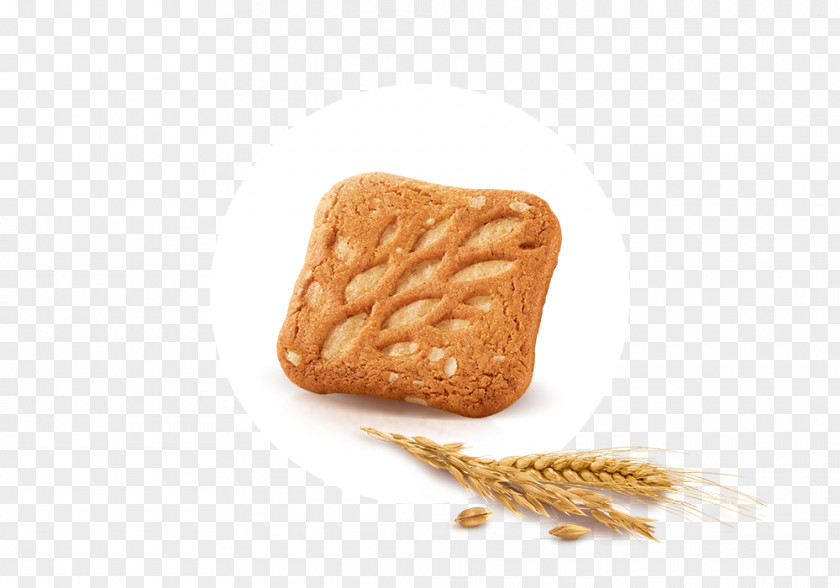 Whole Grain Biscuit PNG