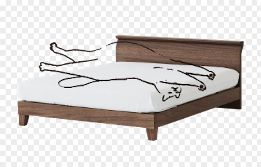 Cat Okawa Bed Frame Furniture PNG