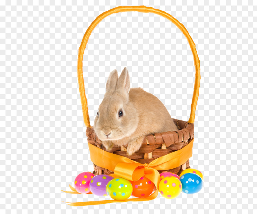 Easter Bunny Basket Rabbit Clip Art PNG