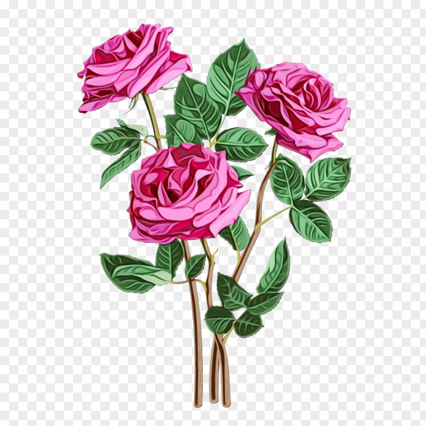 Garden Roses PNG