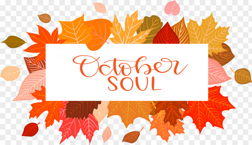 October Soul Autumn PNG