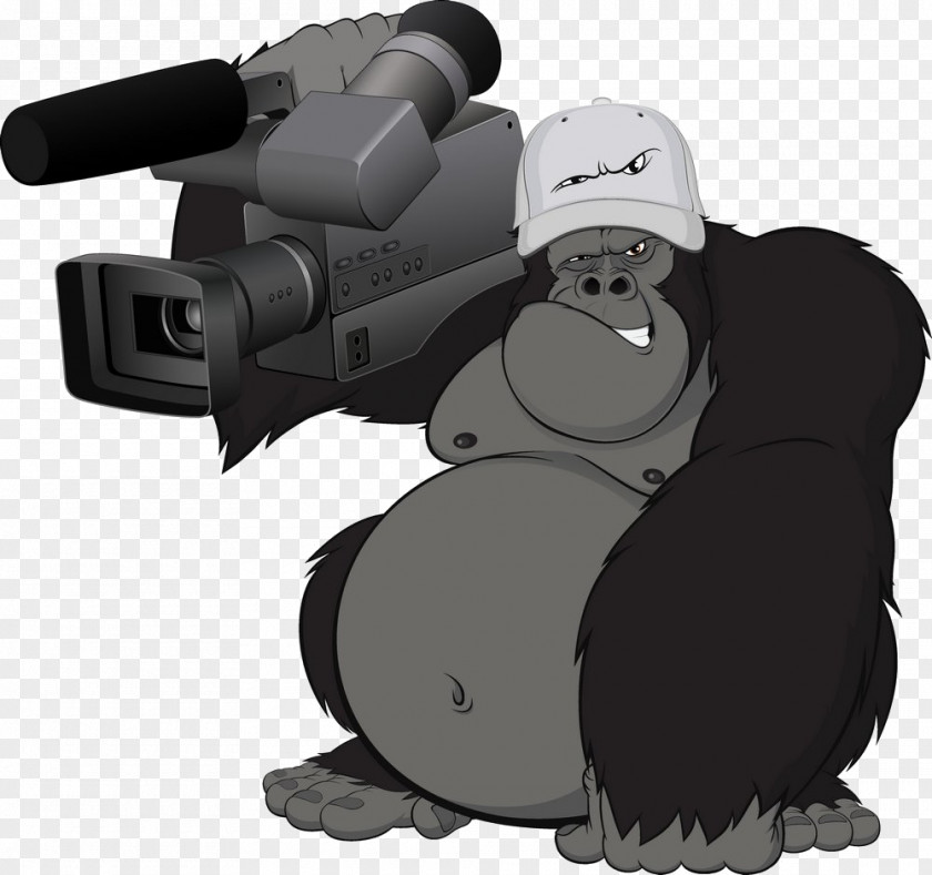 Orangutan Cameraman Gorilla Ape Chimpanzee Primate Cartoon PNG