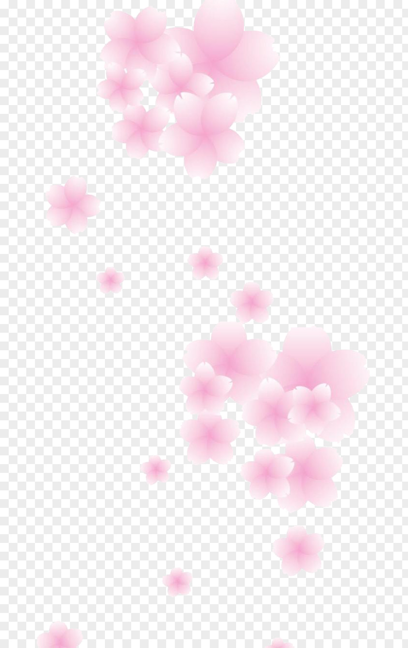 Pink Cherry Blossoms Blossom Petal PNG