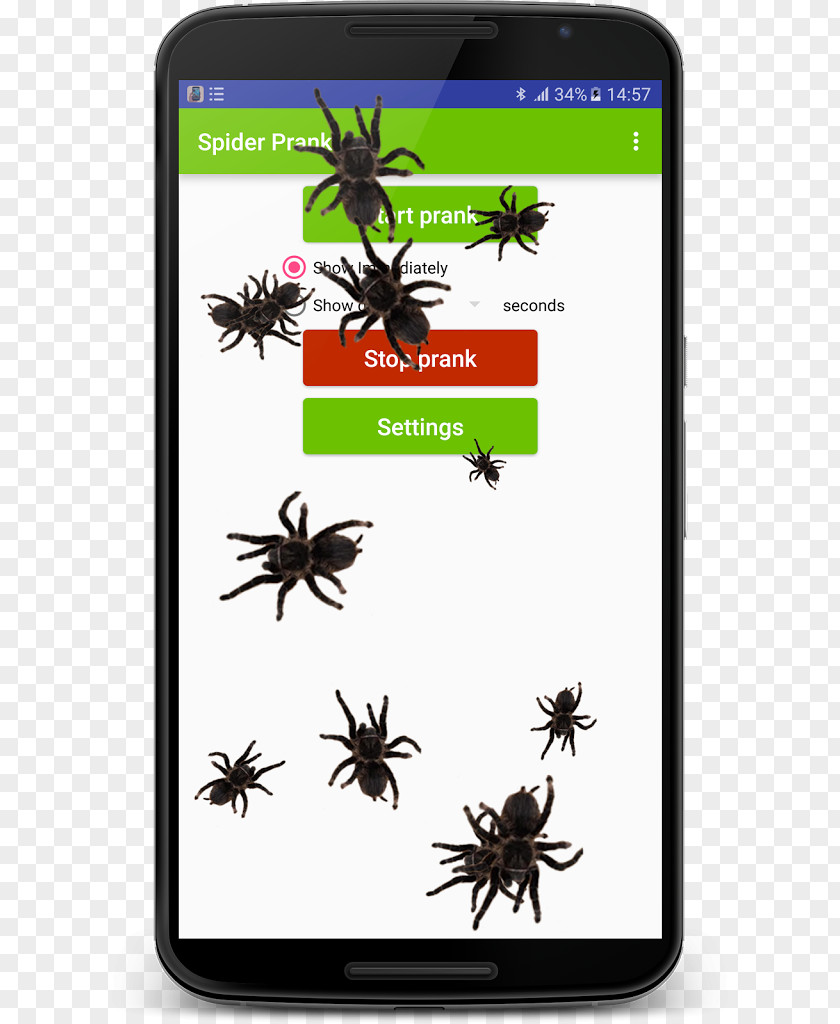 Android Screenshot Ant Run PNG