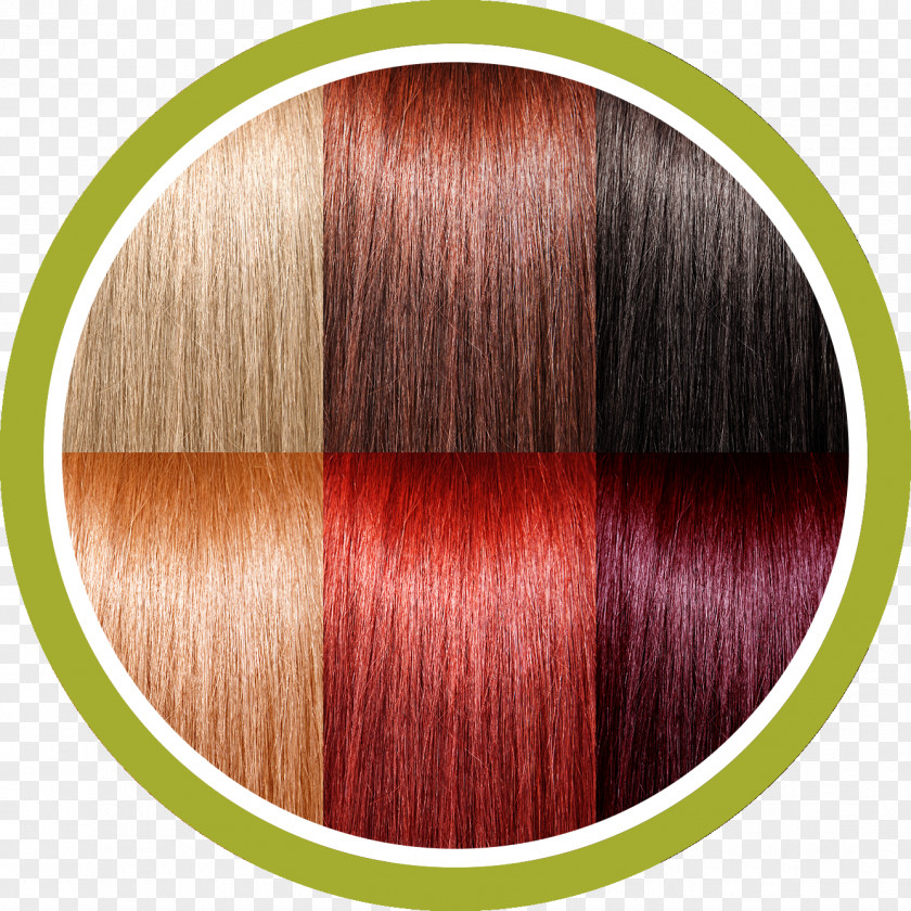 Circolo Del Partito Democratico Di Milano RED.MHair Hair Coloring Long 02PD PNG