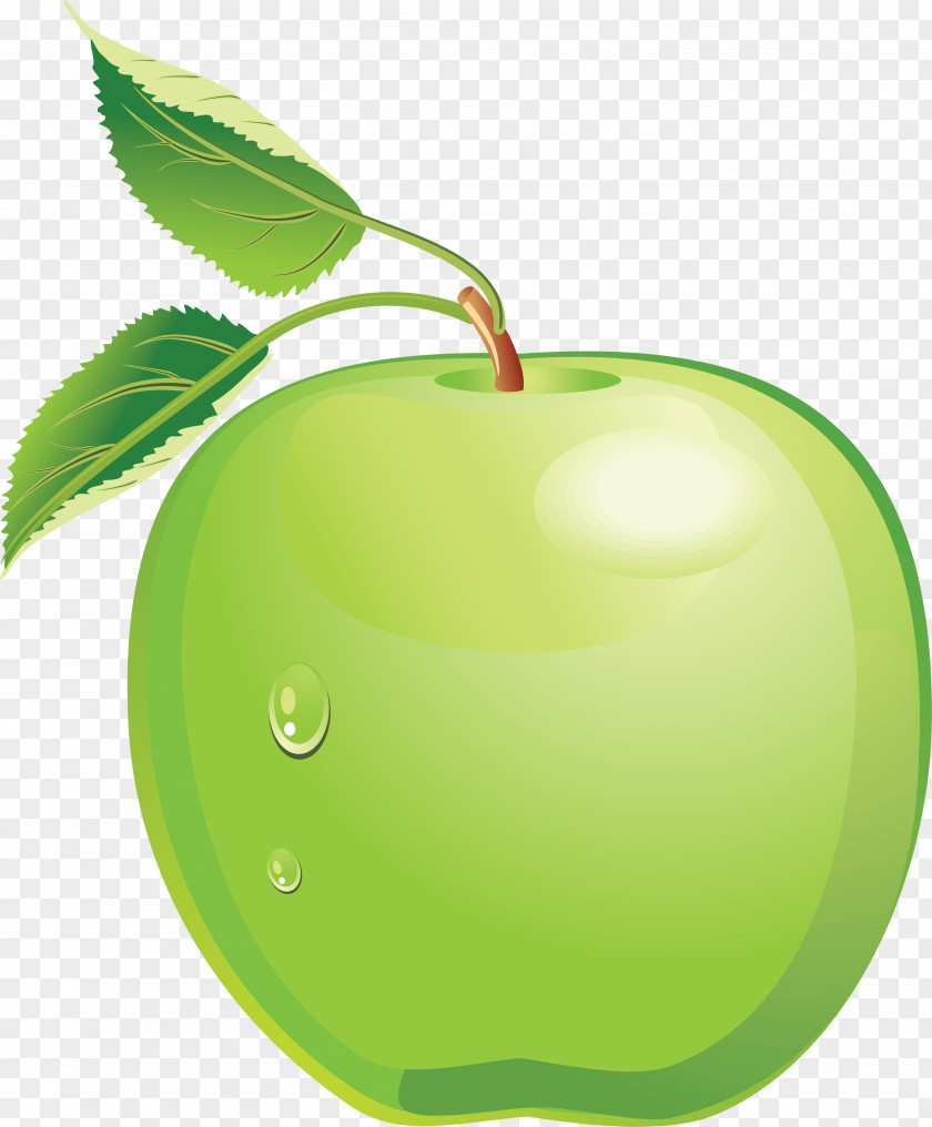 Green Apple Image Clip Art PNG