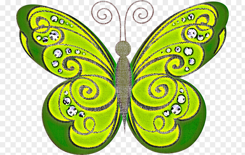 Butterfly Green Insect Moths And Butterflies Wing PNG