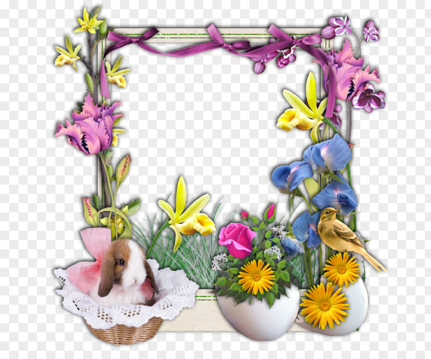 Easter Frame Egg Passover Vigil PNG