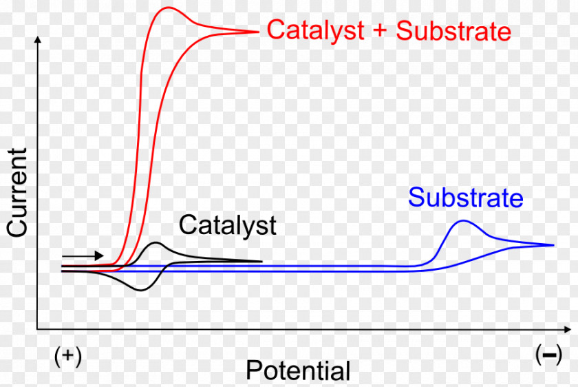 Enzyme Substrate Catalysis Electrocatalyst Graph Of A Function Voltammetry PNG