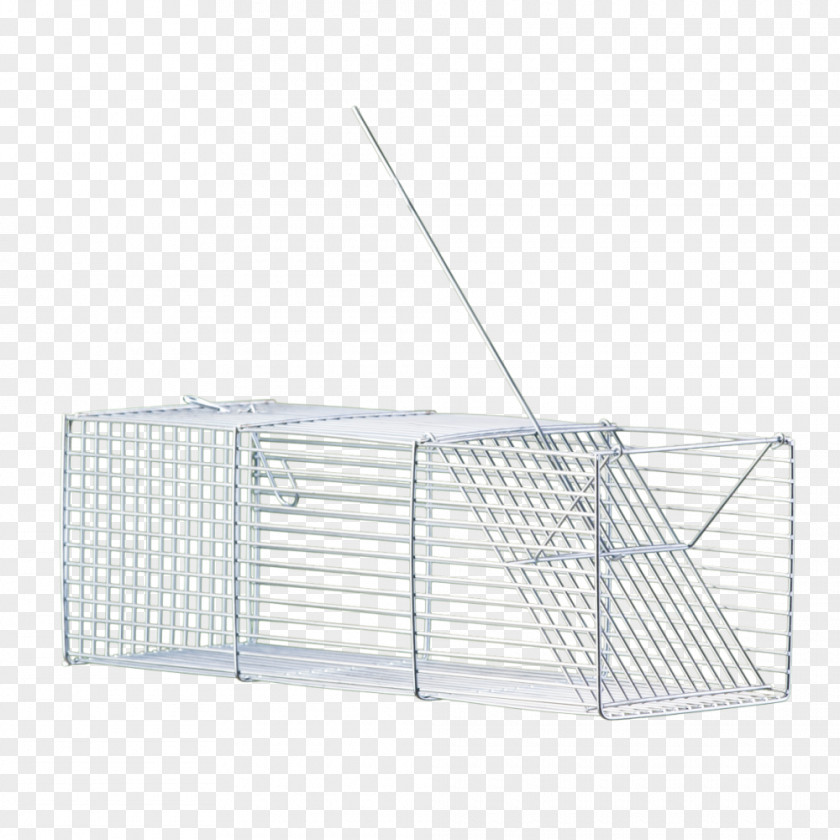 Rat Rodent Hamster Brown House Mouse Birdcage PNG