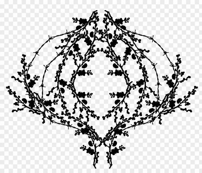 Barbed Wire Line Art Point Flowering Plant Font PNG