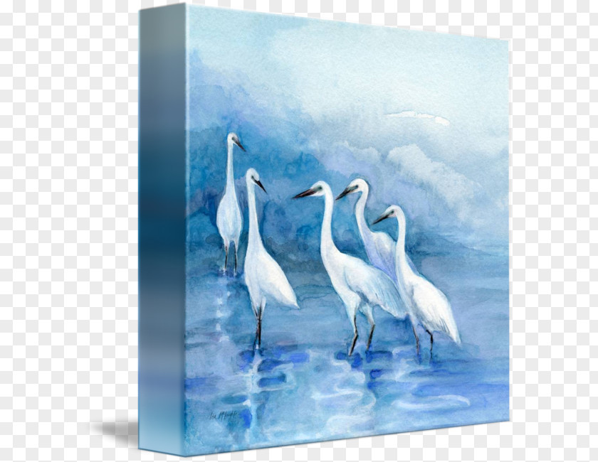 Egret Poster Design Cygnini Painting Bird Acrylic Paint PNG