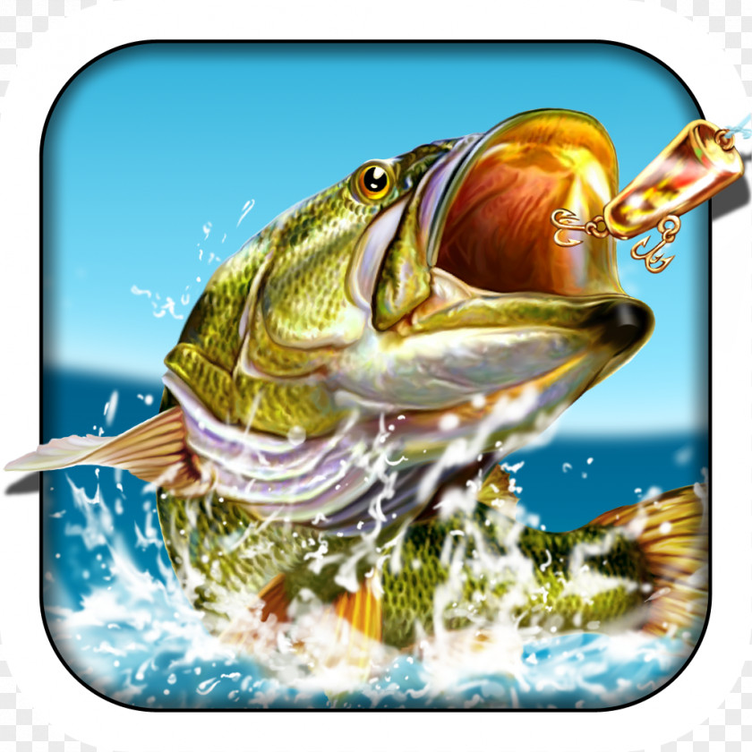 Fishing Pocket I 3 Ultimate Simulator PNG