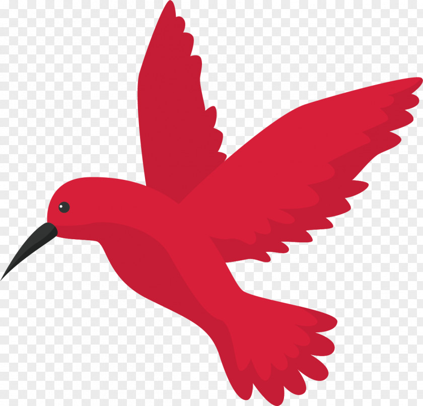 Flying The Bird Google Hummingbird Algorithm Search Engine Optimization PNG